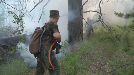 Пожар в Абайской области потушат в течение 4-5 дней – МЧС  