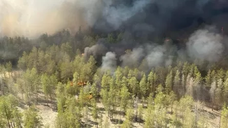 Лесной пожар в Абайской области тушат с вертолета