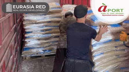  13 тонн гуманитарной помощи и продовольствия отправили молл Aport и холдинг Eurasia Red жителям Абайской области