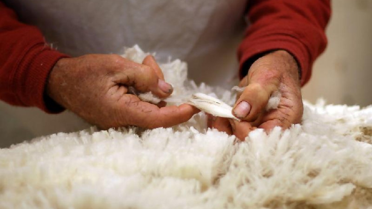 Өздеріңіз көріп тұрғандай, пискадағы мүшесі