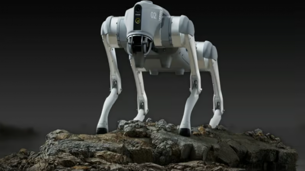 Go robots