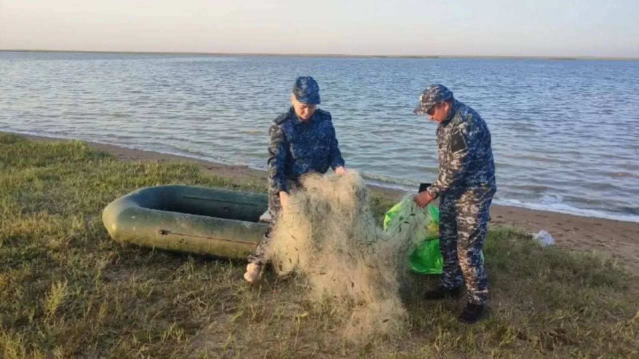 Ақмола облысында браконьерлерден 3,5 шақырымнан астам ау тәркіленді