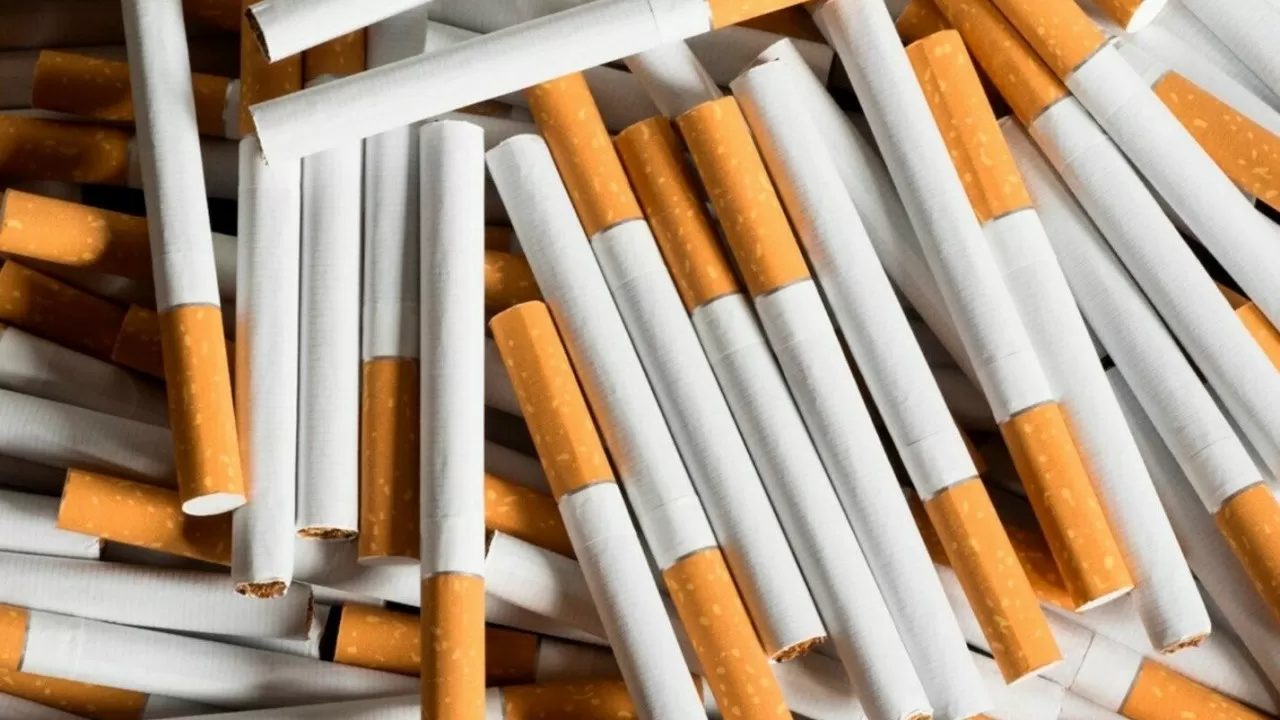 Более 10 тысяч пачек сигарет изъяли в Жетысуской области