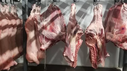 Мясо сверх заявленной нормы пытались вывезти в Узбекистан из РК 