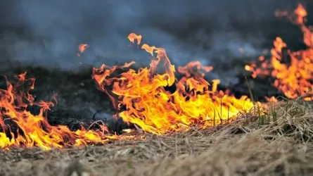В Алматинской области на площади в 7 га загорелась трава