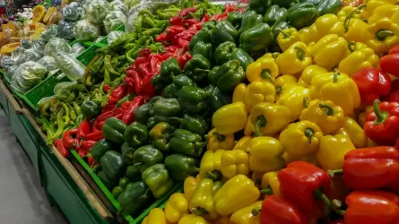 Увядшие овощи вместо свежих представили аграрии на ярмарке в Жамбылской области