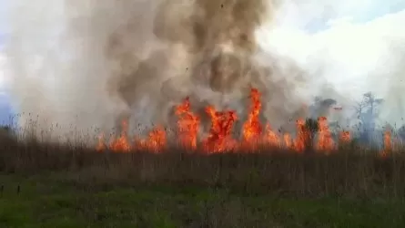 Локализовано горение сухой травы в Жамбылской области 