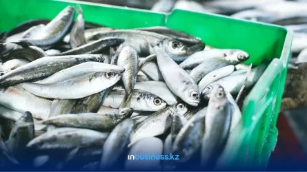 Больше всего казахстанцы едят норвежскую рыбу