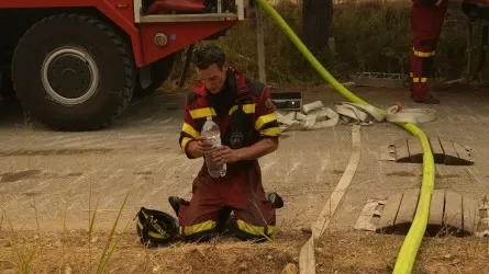 90 лесных пожаров тушат сейчас в Греции 
