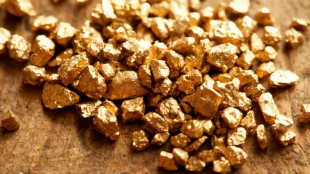 Строительство золотодобывающей фабрики в ВКО начнут только после одобрения жителей  – МИИР