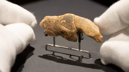 Археологтар Германияда ежелгі аю бейнеленген өнер туындысын тапты