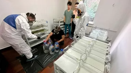 Алматы қаласында 2 есірткі зертханасы мен химиялық прекурсорлардың ірі қоймасы жойылды