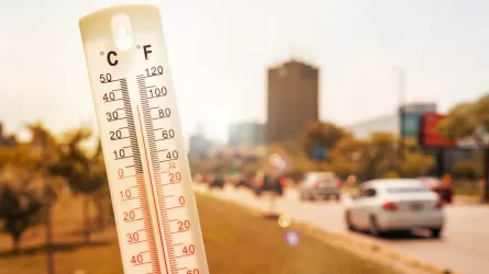 Последняя неделя стала самой жаркой на планете за последние 120 тыс. лет