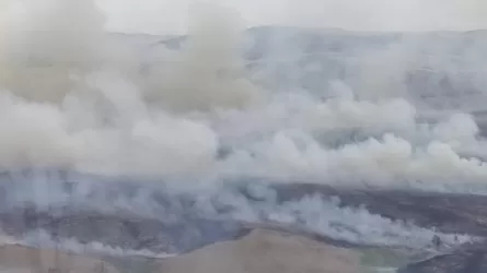 В Баянаульском национальном парке разгорелся крупный пожар