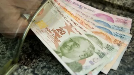 Годовая инфляция в Турции превысила 55%