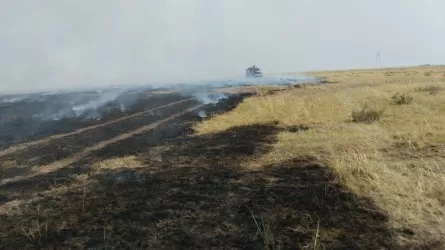 Степные пожары бушуют в Павлодарской области