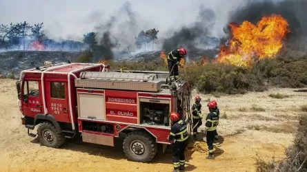 Около 600 пожарных в Португалии тушат пожар в популярном природном парке 