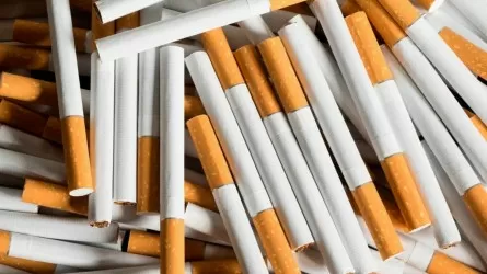 Более 10 тысяч пачек сигарет изъяли в Жетысуской области
