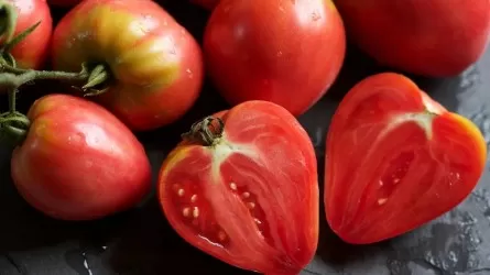 Как помидоры с вирусом попали из Казахстана в Россию 