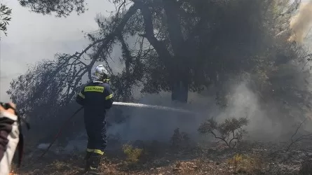 Грецияда бір күнде өрттің 45 ошағы тіркелді