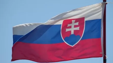 В Словакии провалился референдум об изменении Конституции