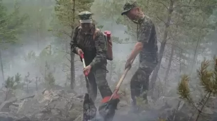 Лесной пожар произошел в Акмолинской области