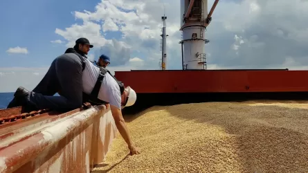 ООН заявила о срыве экспорта удобрений из России по зерновой сделке