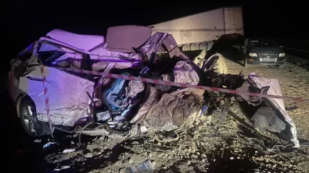 Жизни четырех людей унесла авария в области Жетысу