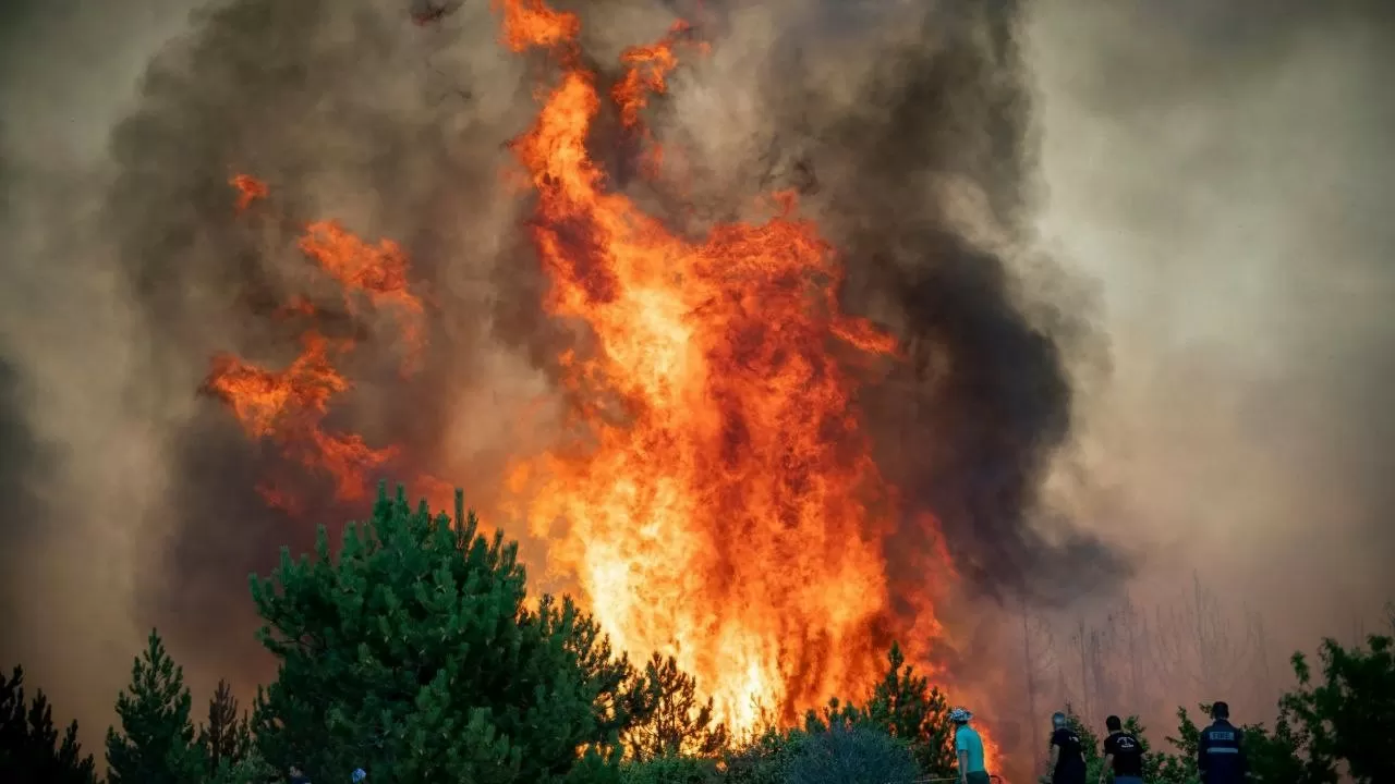 Режим ЧС объявили в Якутии из-за лесных пожаров
