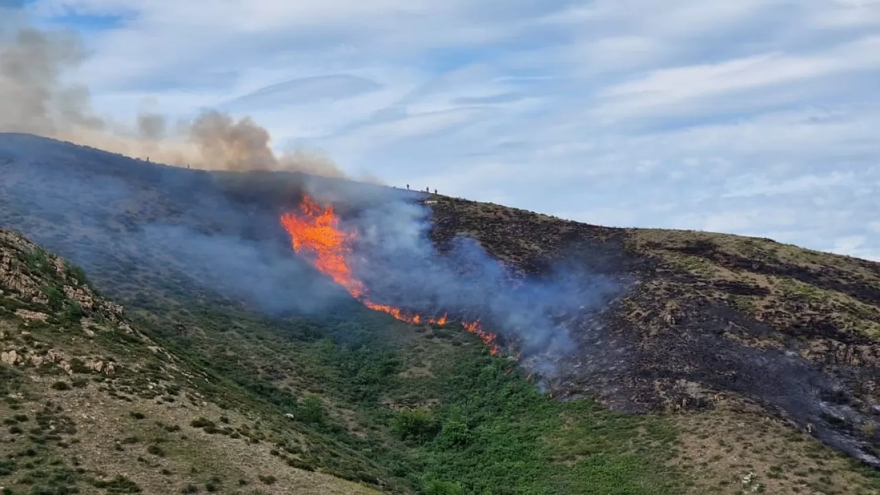 Шығыс Қазақстандағы таулы өңірдегі өртті тікұшақпен сөндірді