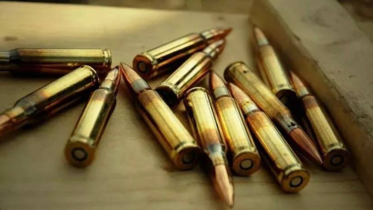 найти дома патрон. патроны россыпью. патроны калибра 5. найти дома патрон. найти дома патрон.