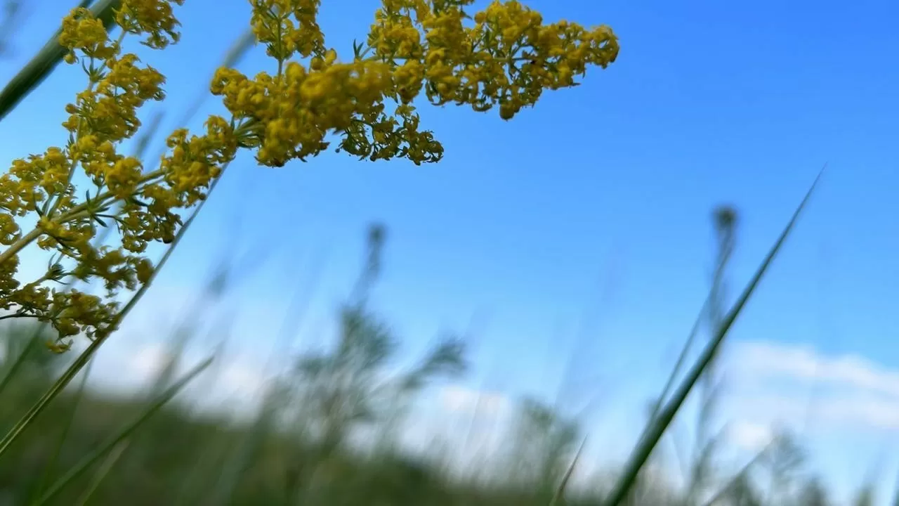 Бүгін еліміздің батысында аптап ыстық болады