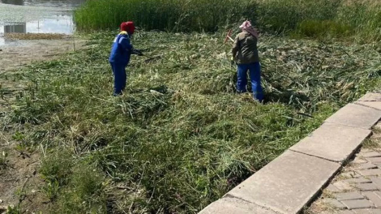 Елордадағы Ақбұлақ бұлағында су бетін санитарлық тазарту жұмысы жүріп жатыр