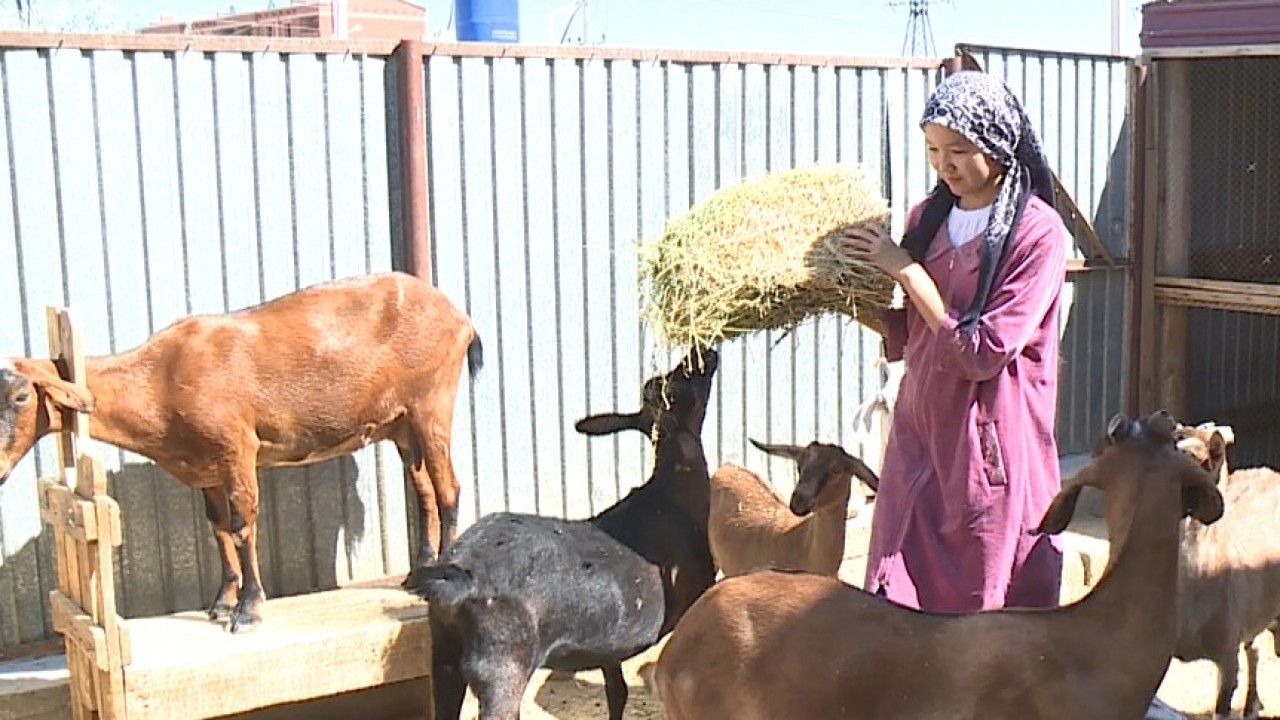 Анус түрмедегі қыздарды тексереді Әйел секс порно үшін жігітті алды