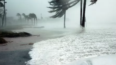 К США движется "чрезвычайно опасный" ураган "Идалия"
