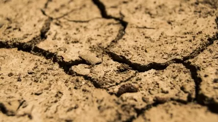 Если не принять мер, засуха на юге РК может усугубиться – НПП