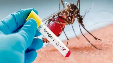 Бангладеште денге безгегінен 273 адам қаза тапты