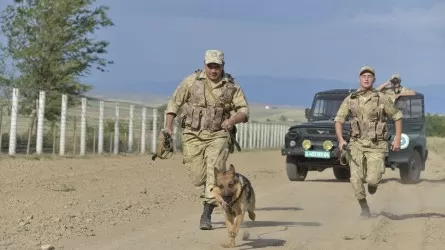 Пограничники почти сутки искали людей близ границы с Россией