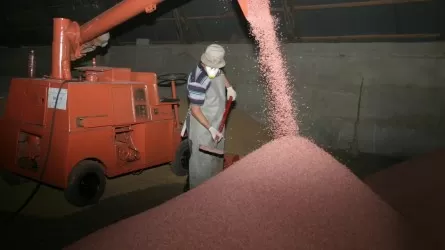 Биыл қазақстандық ұн тартатын кәсіпорындар 1,6 млн тонна ұн өндірді