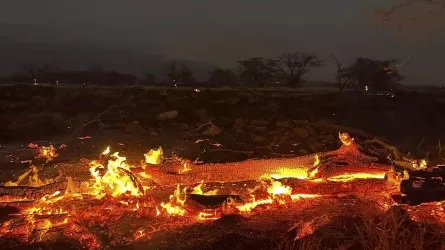 36 человек погибли из-за лесных пожаров на Гавайях