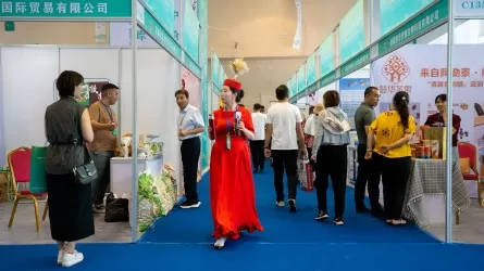 Как открыть дорогу в Китай казахстанскому бизнесу?  