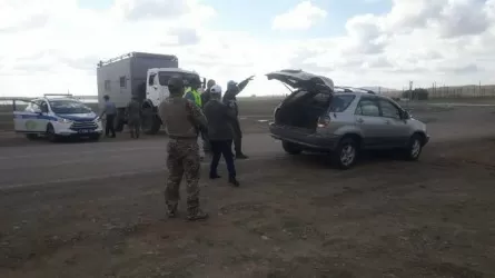 Елімізде кең ауқымды «Сұңқар» акциясы өтіп жатыр