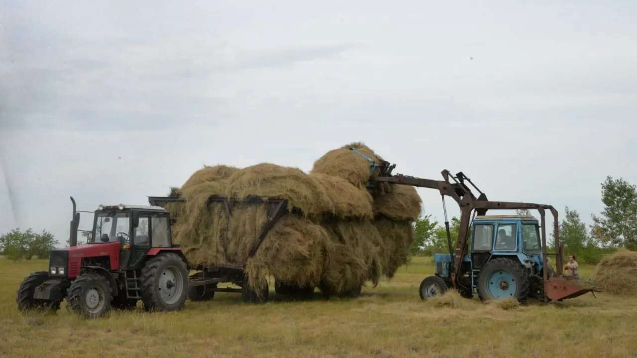 Егін жинау науқаны: жеңілдетілген дизель отынының бағасы арзандайды