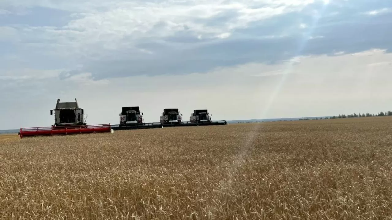 В течение недели Продкорпорация объявит цену на зерно – минсельхоз РК