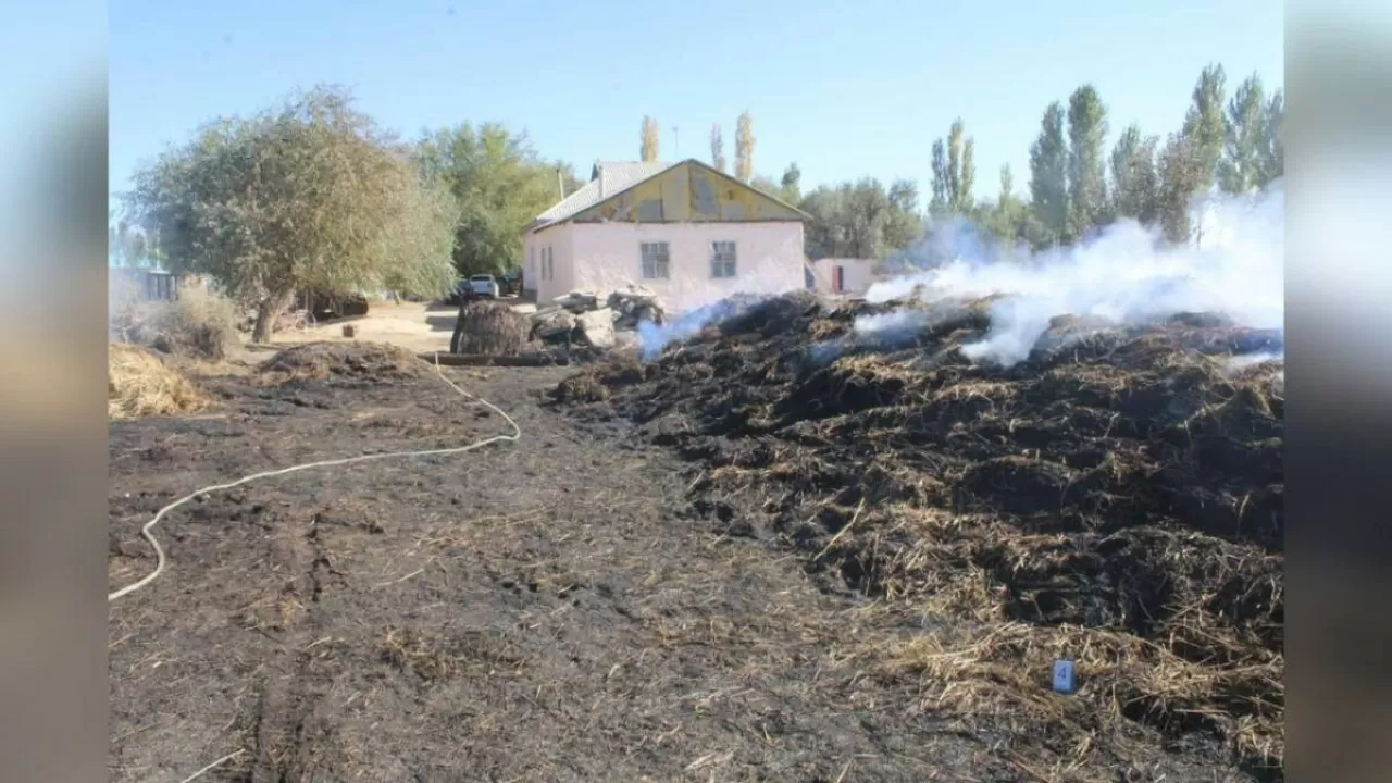 29 жасар қызылордалық ауылдасының мың бума жоңышқасын өртеп жіберген