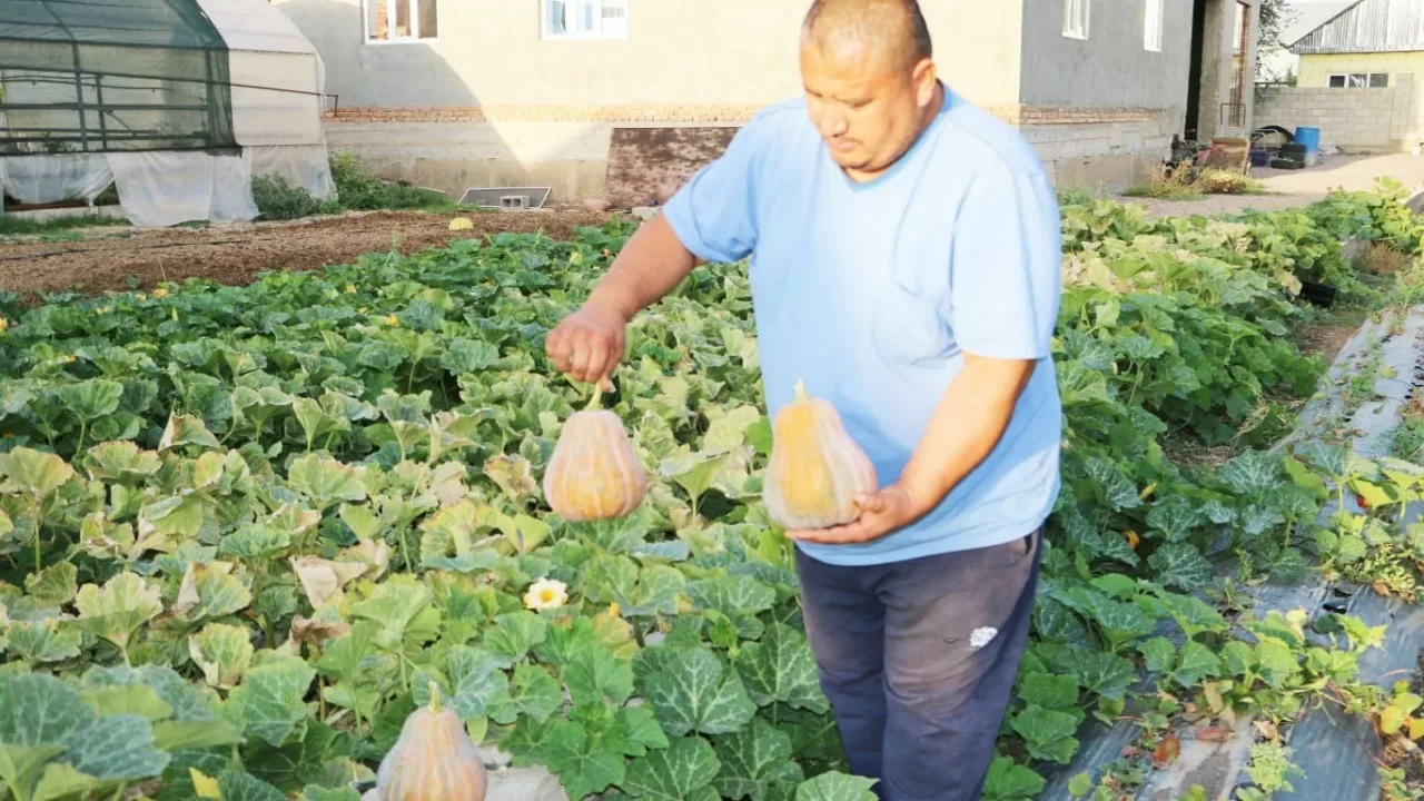 Жамбылдық диқан үй ауласынан ауқымды қойма жасады