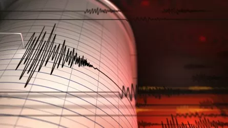 В 553 км от Алматы случилось землетрясение