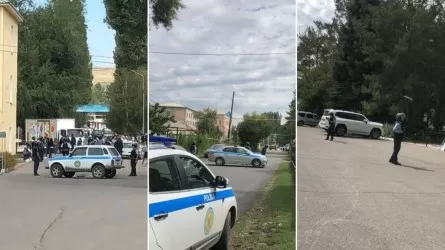 Телефонный террорист атаковал сельскую школу в Жетысуской области 