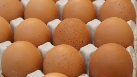 Около 650 млн яиц не доели казахстанцы за 8 месяцев этого года 