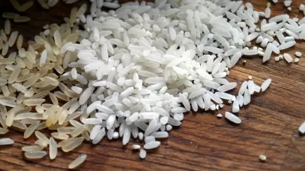 Пластиковый рис из Китая попадает на прилавки Казахстана? 